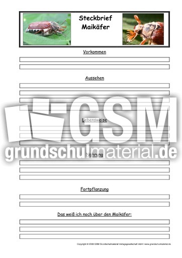 Maikäfer-Steckbriefvorlage.pdf